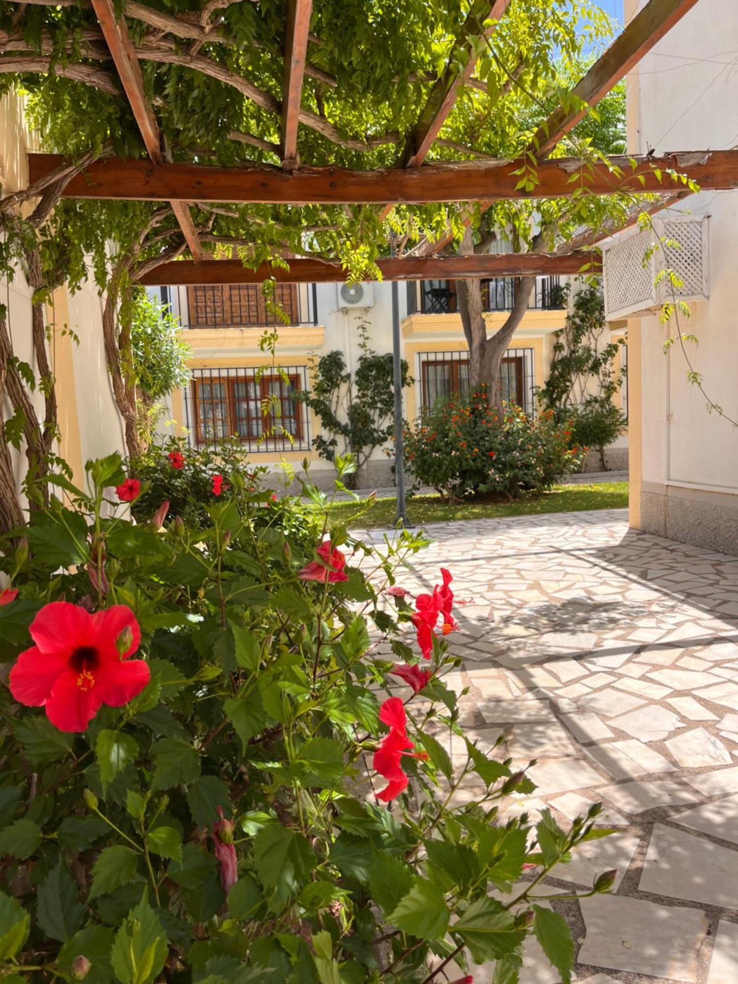 La Casita Verde- Cerca De La Playa Y Con Piscina Abierta Todo El Ano *